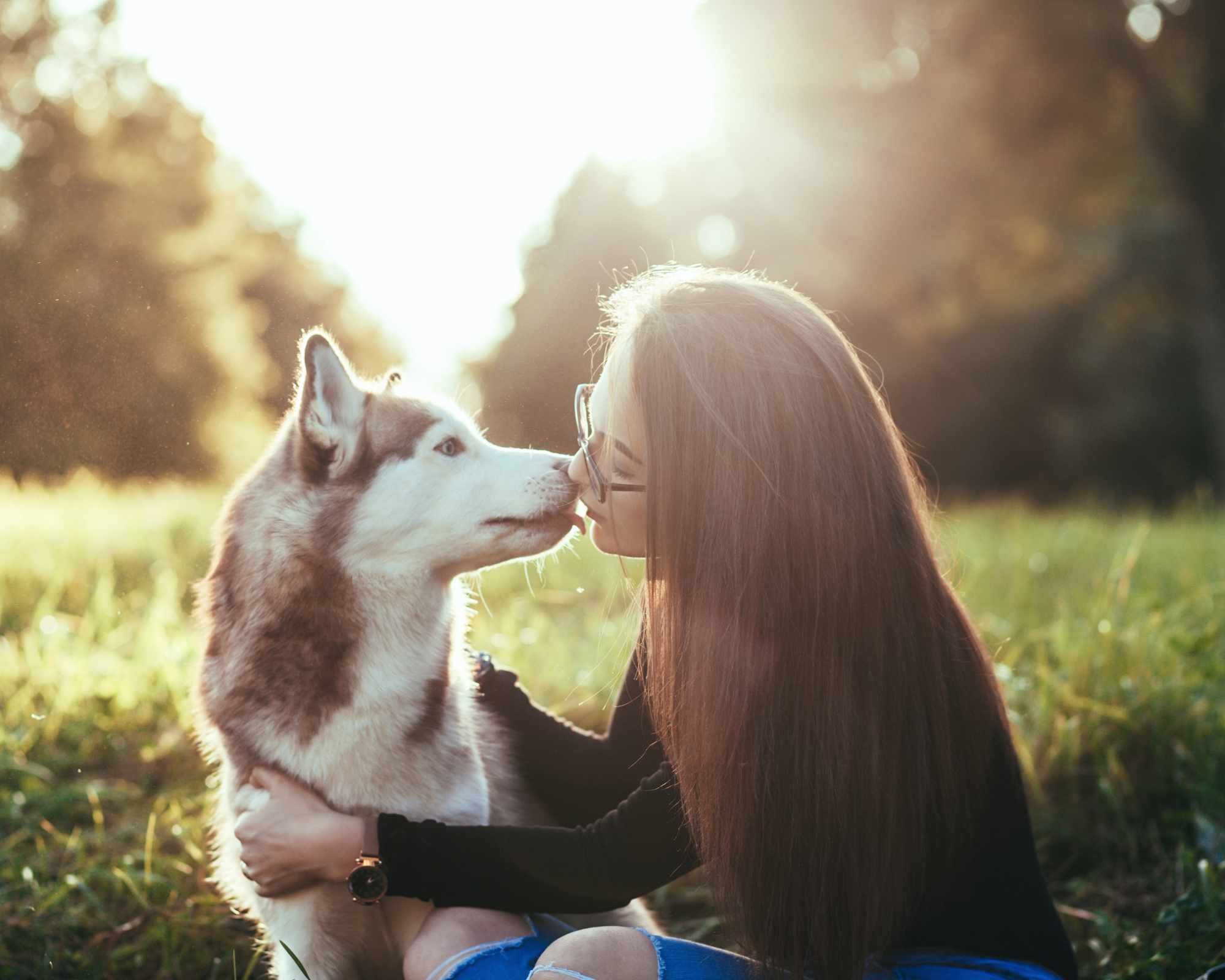 Best Vacuum for Husky Hair-Our #1 Pick